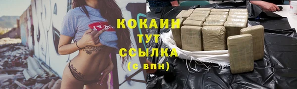 ГАЛЛЮЦИНОГЕННЫЕ ГРИБЫ Абаза