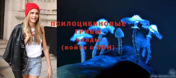 эйфоретик Алексеевка