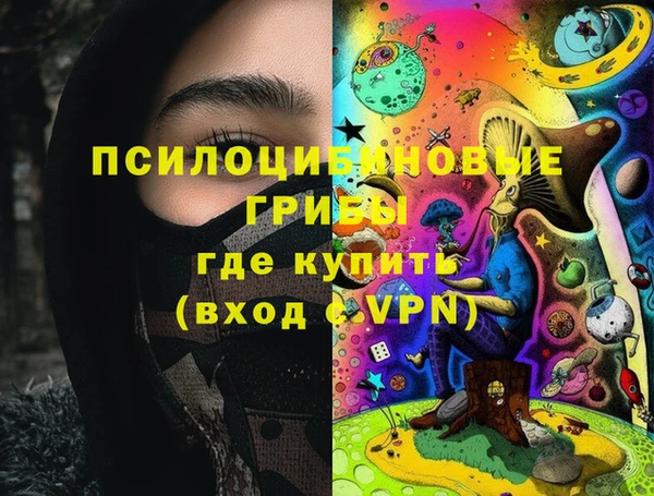 соль ск Алексин
