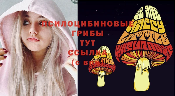 соль ск Алексин