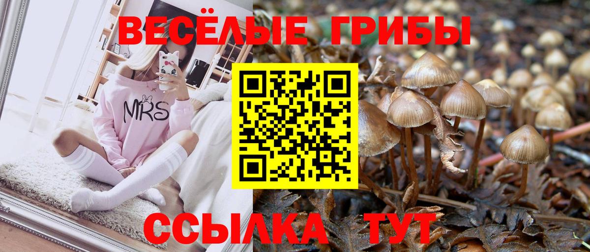 Ливны  Псилоцибиновые грибы ЛСД  Вход с VPN 